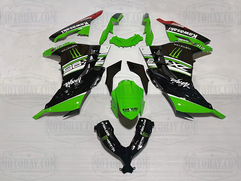 dan-nhua-ninja300-17-chi-tiet