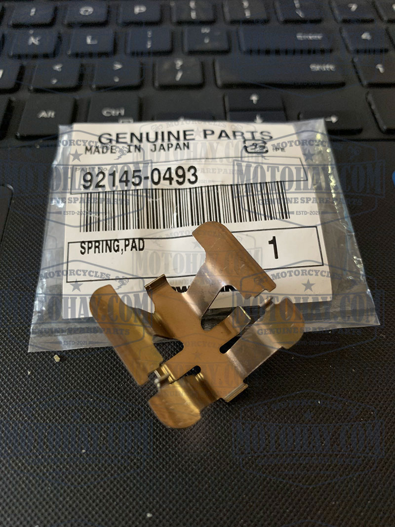 dem-dan-hoi-heo-phanh-sau-z800-chinh-hang