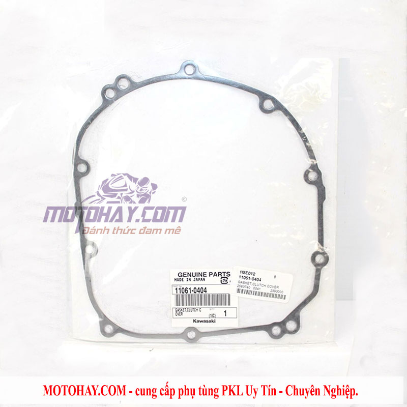 gioang-buong-con-z900-chinh-hang