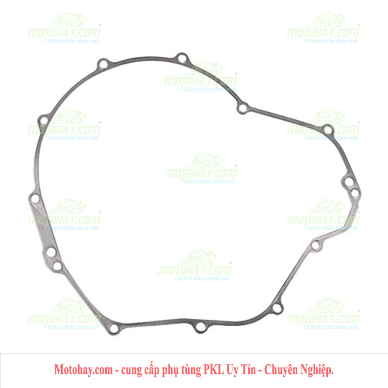 gioang-buong-con-z650-ninja-650