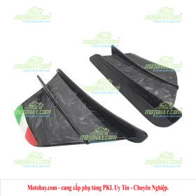 Carbon nhúng mẫu 1