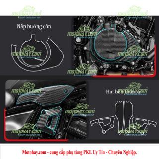 Miếng dán chống xước Eliminator 500